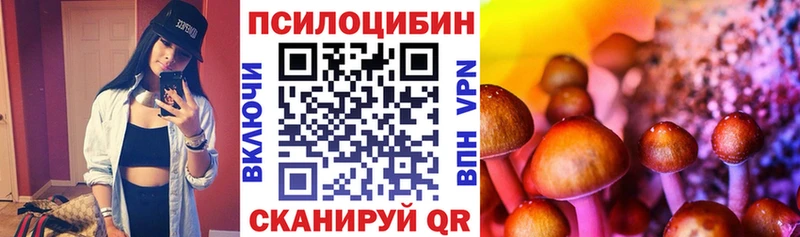 Псилоцибиновые грибы MAGIC MUSHROOMS  blacksprut tor  Лосино-Петровский  цена наркотик 